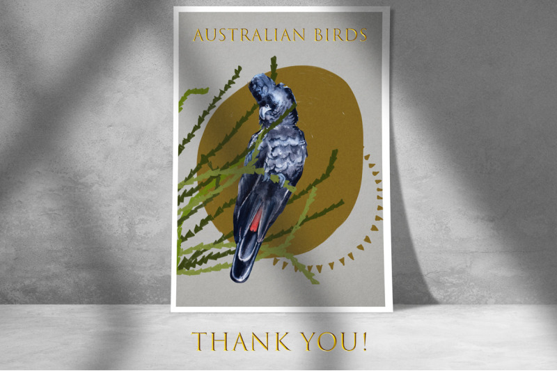 australian-birds