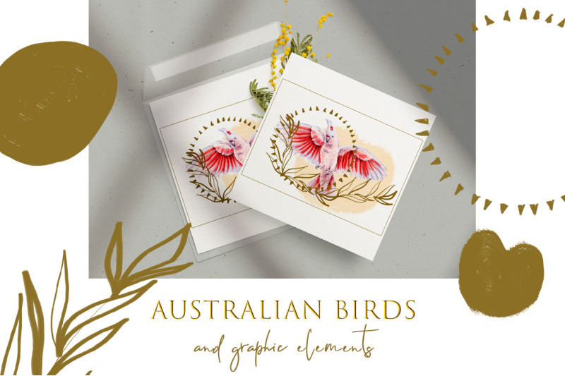 australian-birds