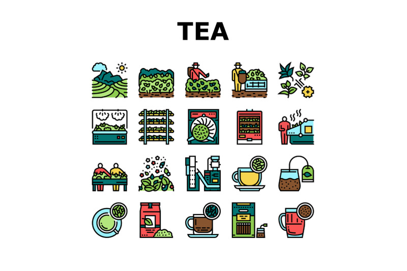 tea-drink-production-collection-icons-set-vector