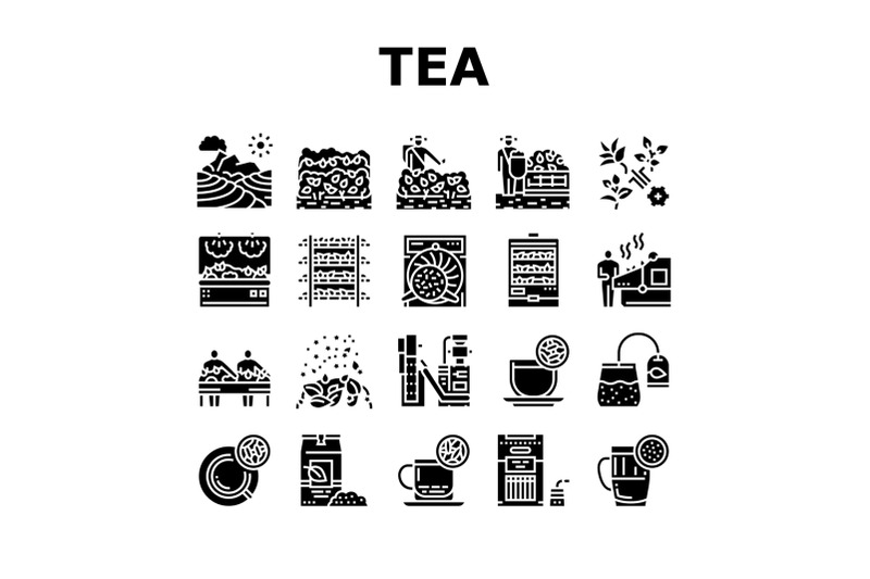 tea-drink-production-collection-icons-set-vector
