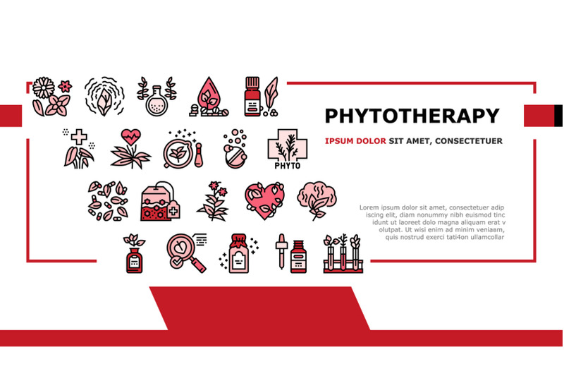 phytotherapy-treat-landing-header-vector