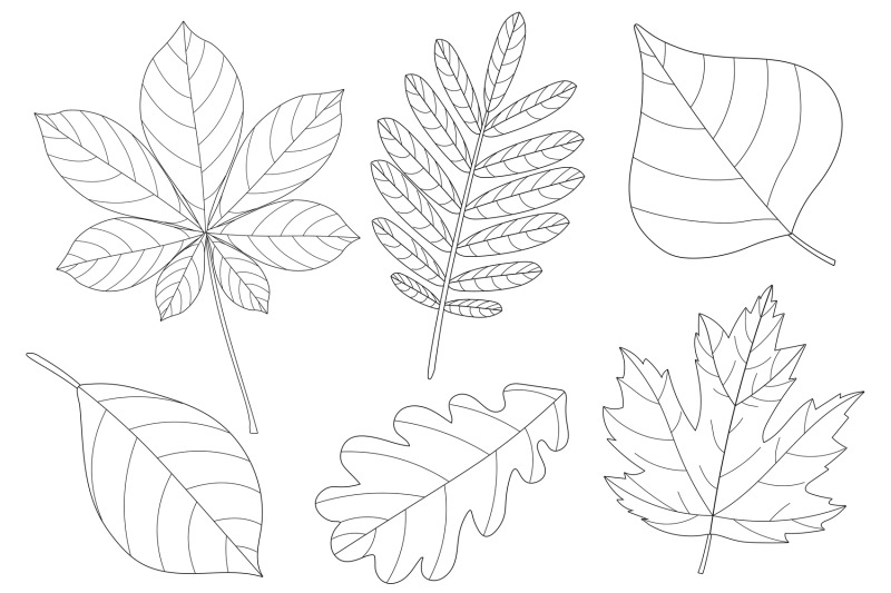 autumn-black-and-white-coloring-autumn-vector-autumn-svg