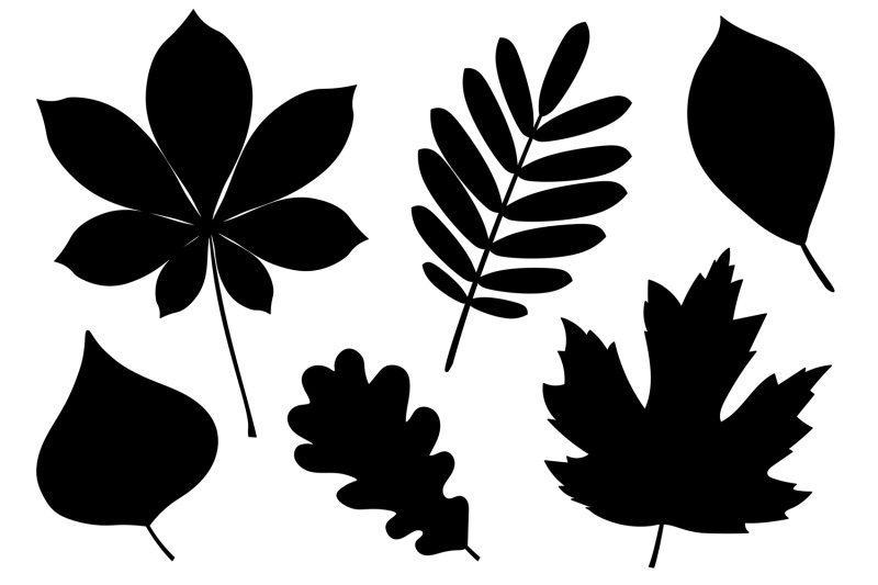 autumn-silhouettes-leaves-silhouettes-mushrooms-silhouette