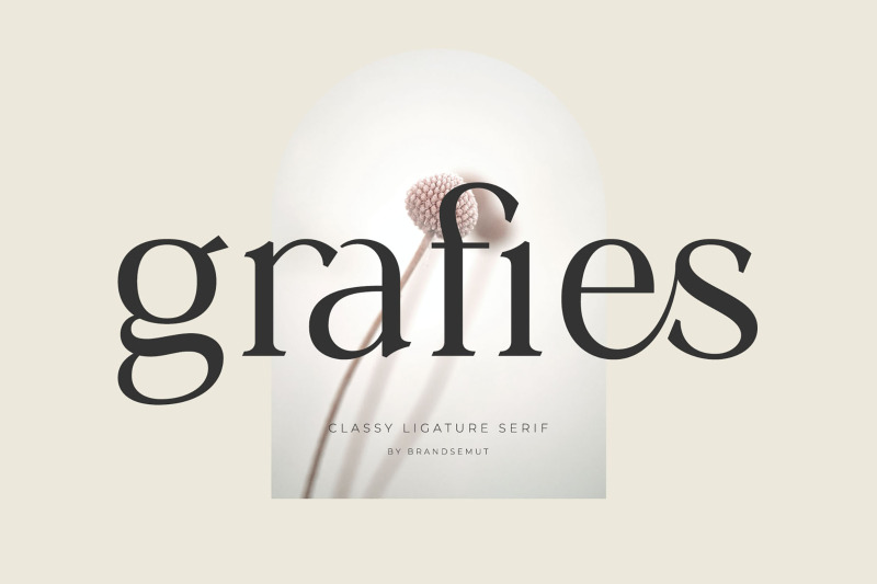 grafies-classy-ligature-serif