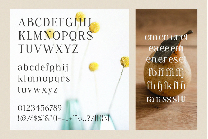 grafies-classy-ligature-serif