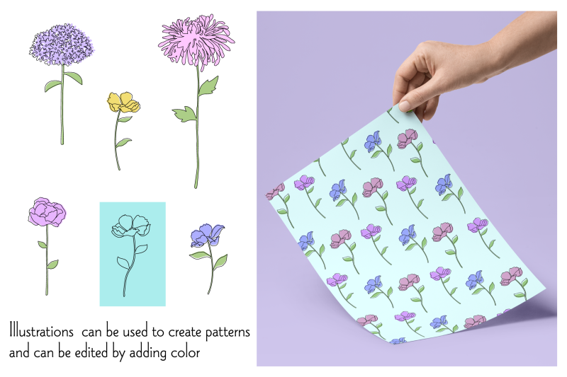 botanical-flower-illustrations