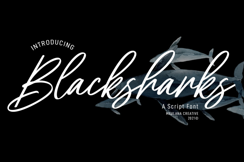 blacksharks-script-font