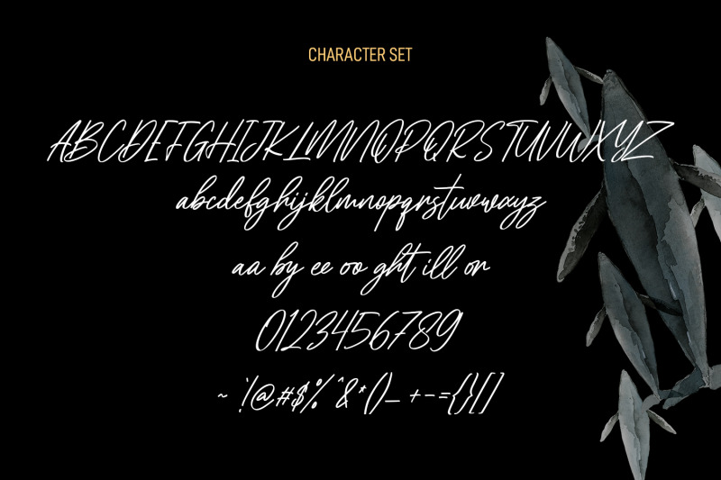 blacksharks-script-font