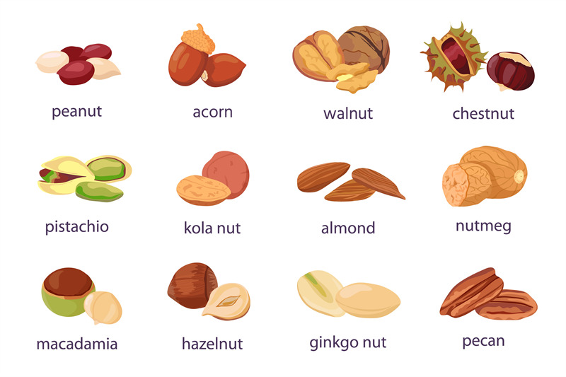 cartoon-nuts-walnut-hazelnut-pistachio-and-peanut-icon-healthy-org