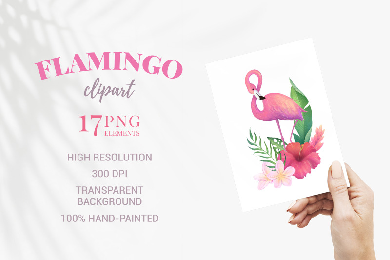 tropical-flamingo-clipart