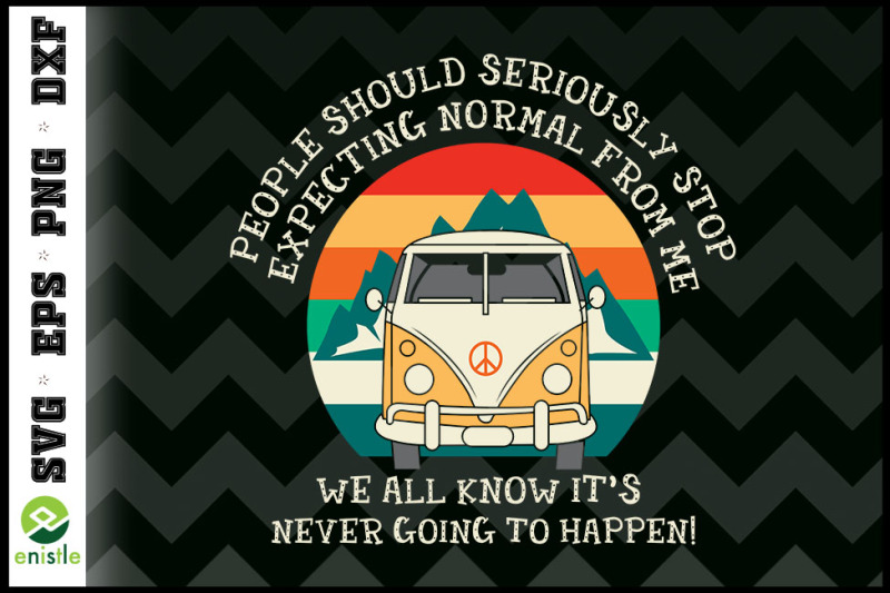 people-should-seriously-stop-hippie-van