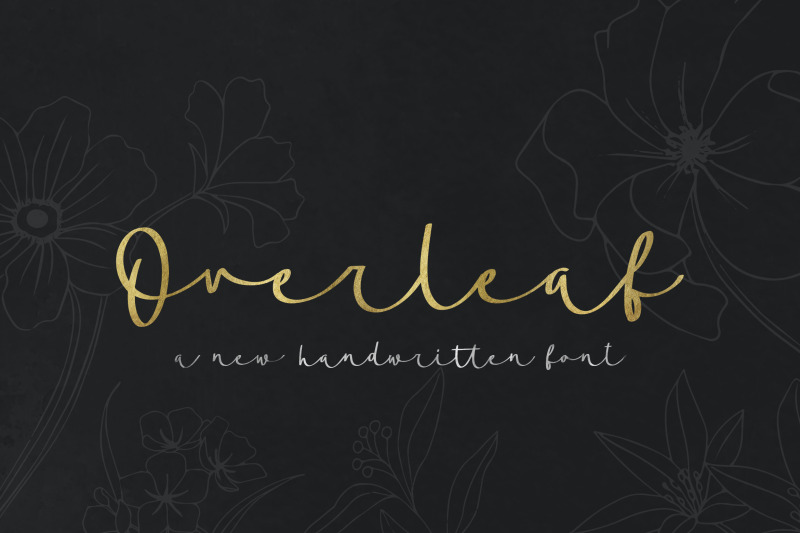 overleaf-script-font-calligraphy-fonts-handwritten-fonts-handwriting-fonts