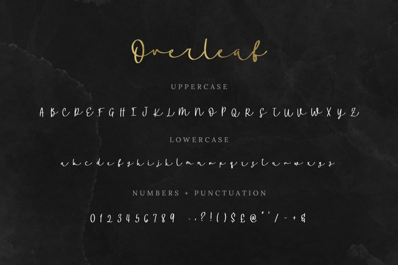 overleaf-script-font-calligraphy-fonts-handwritten-fonts-handwriting-fonts