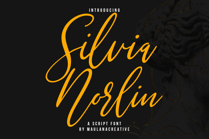 silvia-norlin-beauty-signature-script-font