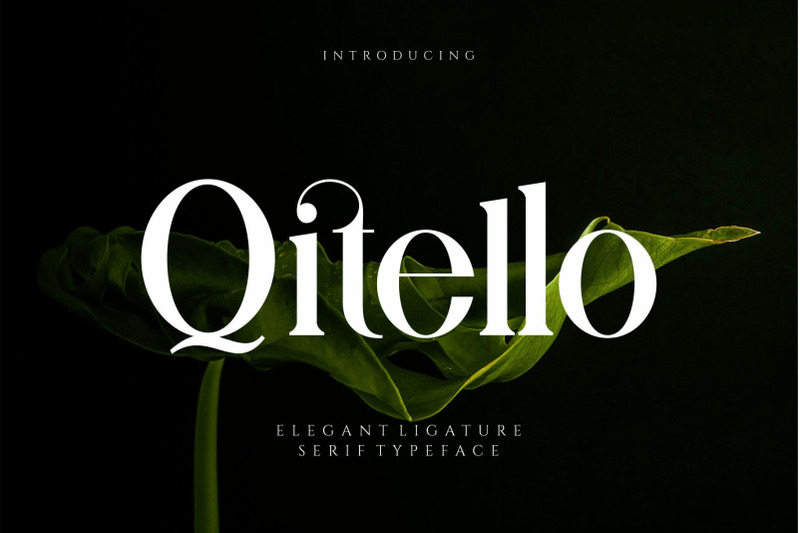 qitello-ligature-serif-typeface