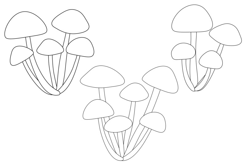 mushrooms-graphics-mushroom-coloring-mushrooms-svg-autumn