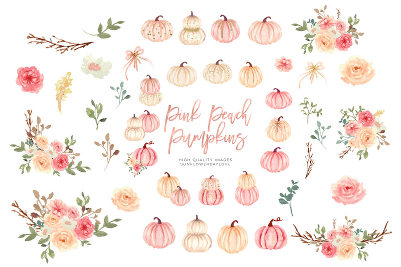 pink-elements-pumpkin-clipart-autumn-floral-leaves