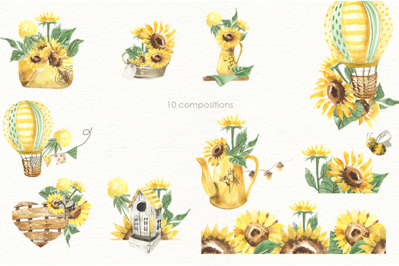 sunny-sunflower