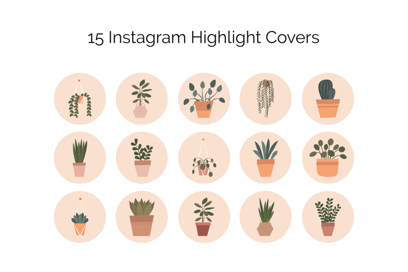 house-plants-instagram-highlight-covers