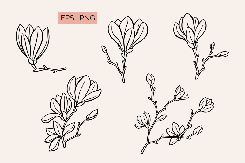 line-art-magnolia-set
