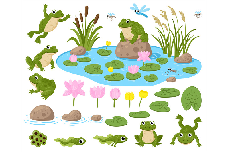 cartoon-frogs-cute-amphibian-mascots-frogspawn-tadpoles-green-frog