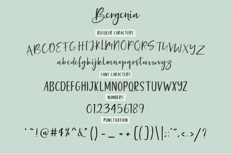 bergenia-script-font-duo