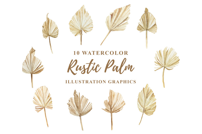 10-watercolor-rustic-palm-illustration-graphics