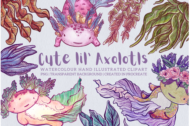 cute-lil-039-axolotls-clipart-set