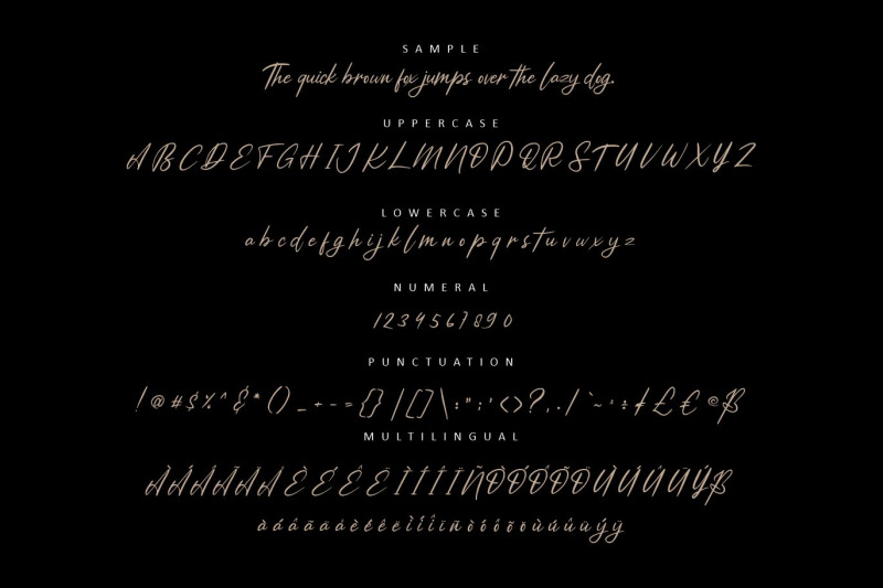 amstardam-modern-script-font