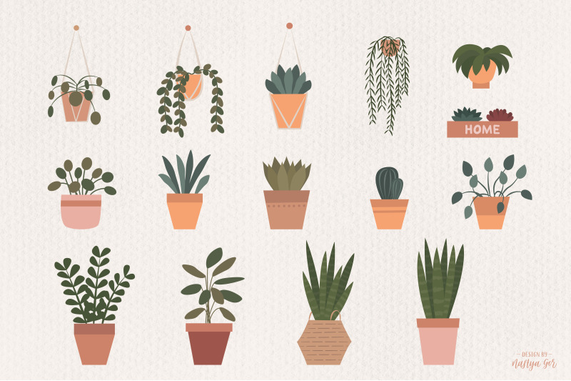 house-plants-graphic-collection