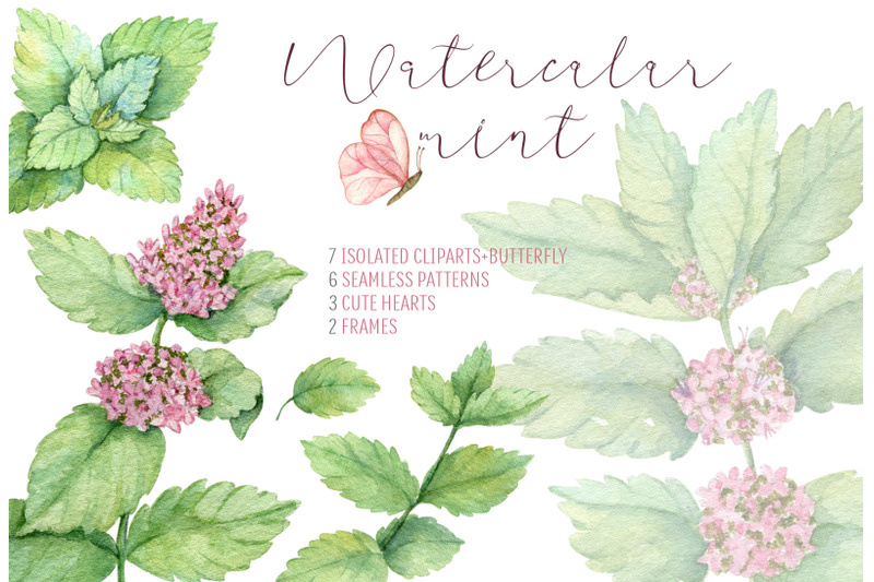 watercolor-mint-herbal-set