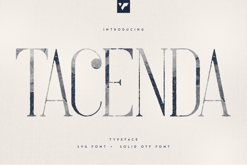 tacenda-textured-rough-fonts