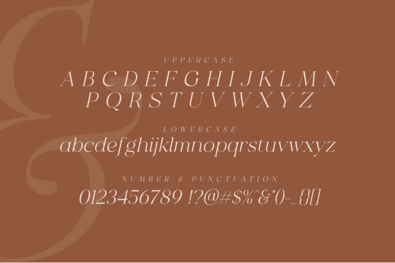 milyuna-classic-stylish-serif