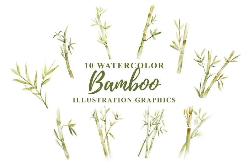 10-watercolor-bamboo-illustration-graphics