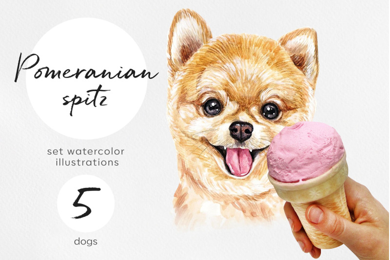 pomeranian-spitz-watercolor-dog-illustrations-cute-5-dog