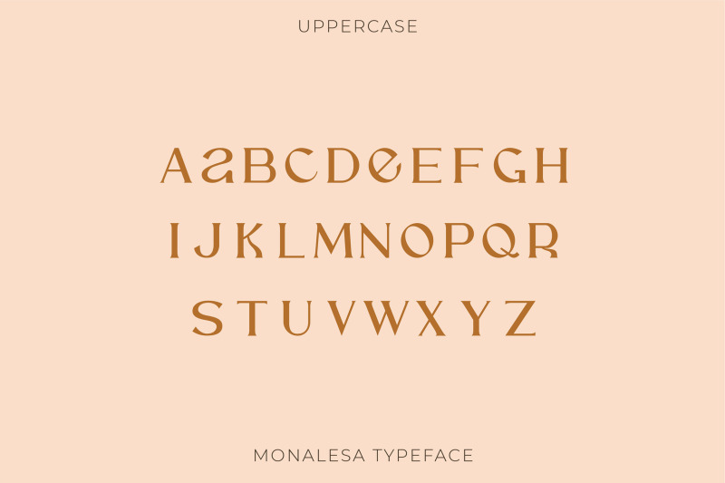 monalesa-new-vintage-typeface