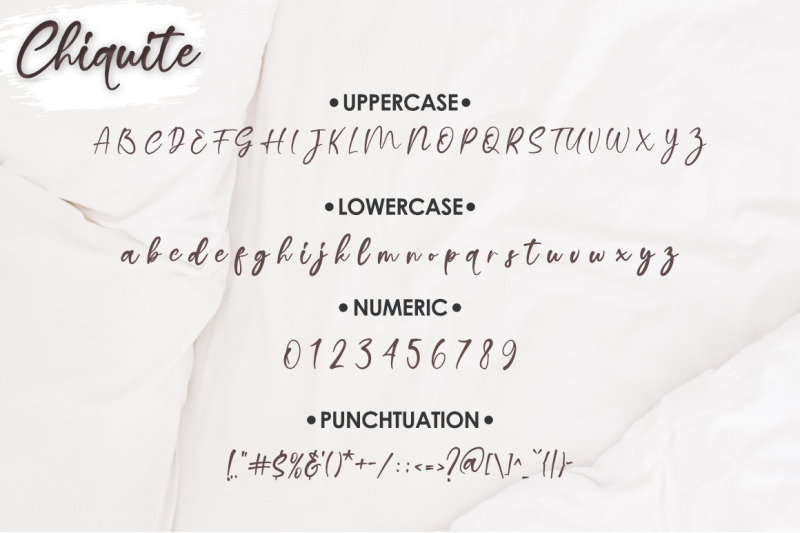 chiquite-handlettered-font-script