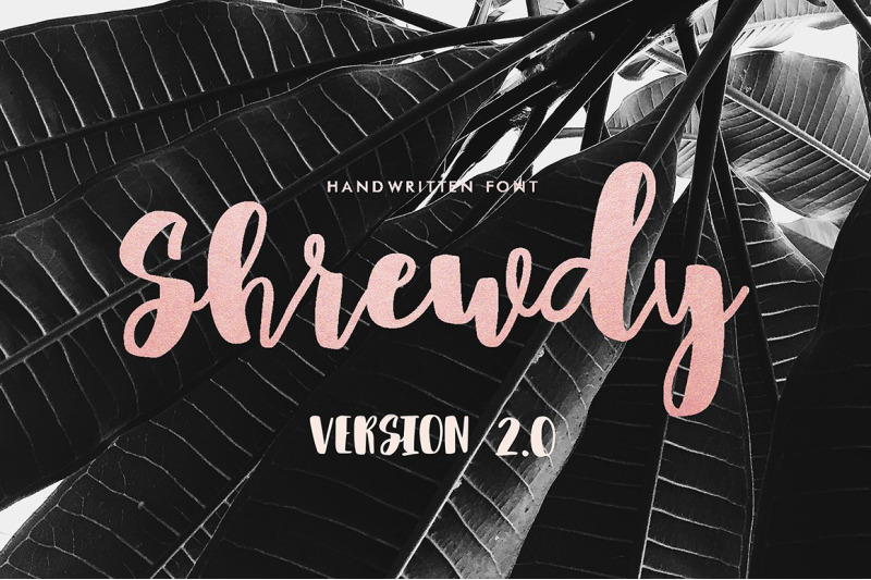 shrewdy-script-version-2-0