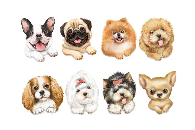 cute-dogs-watercolor-clipart-girls-and-dogs-spitz-pomeranian-poodle