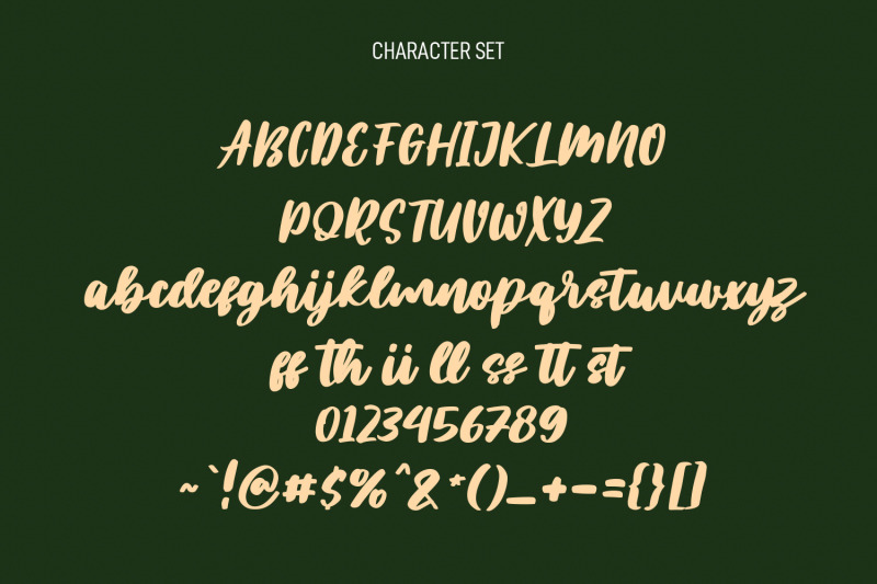 plotwist-handwritten-script-font