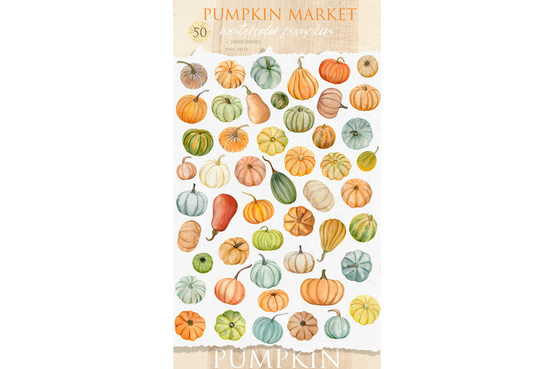 pumpkin-market-watercolor-clipart