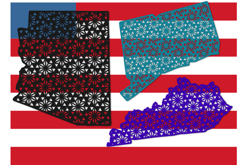 the-outlines-of-the-us-states-with-a-pattern-svg