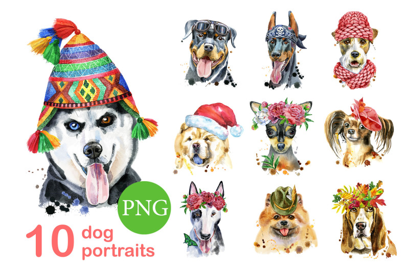 10-watercolor-dog-portraits-12