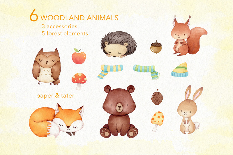 watercolor-autumn-woodland-clipart-fall-forest-baby-animal-png