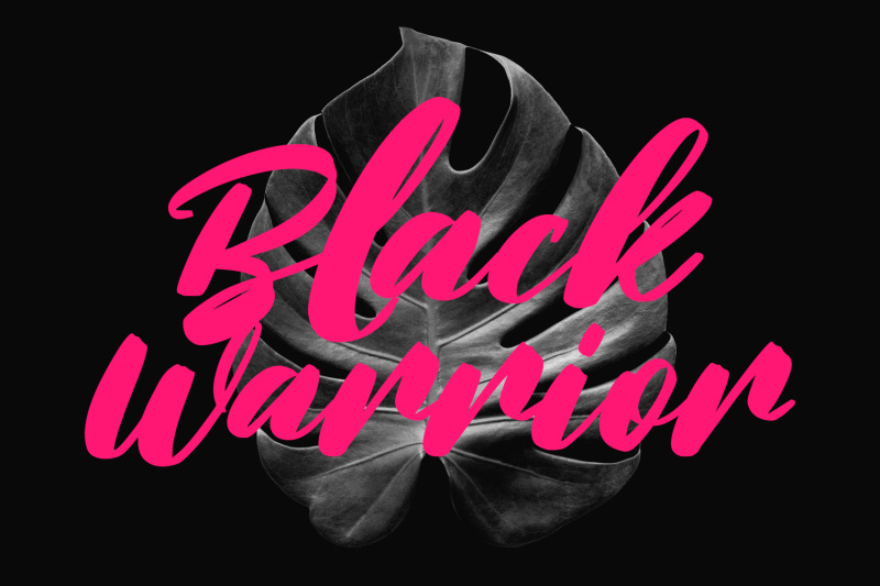blackbirdy-bold-script-font