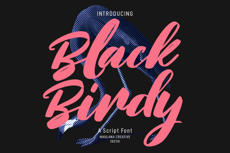 blackbirdy-bold-script-font