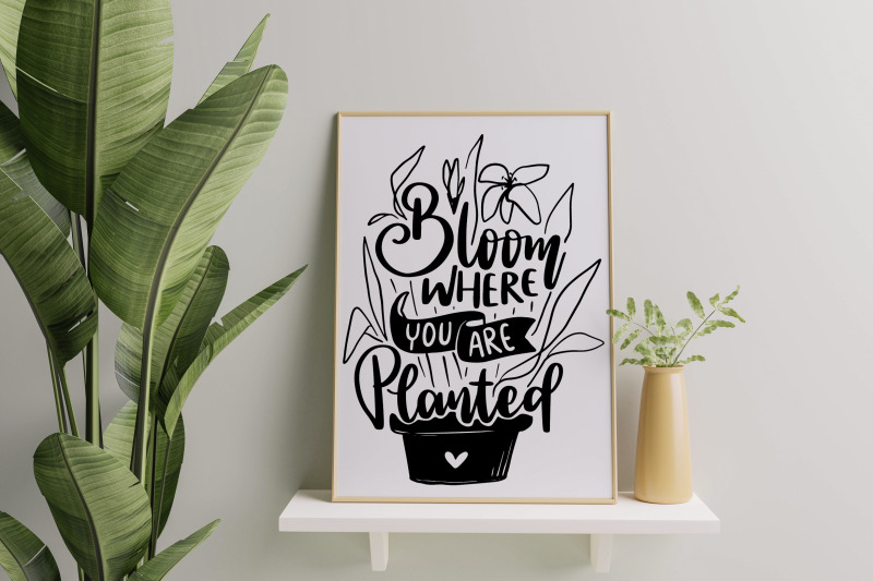 bloom-where-you-are-planted-svg-blooming-quotes