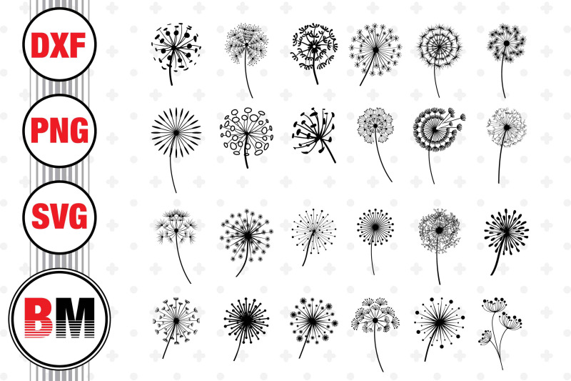 dandelion-svg-png-dxf-files