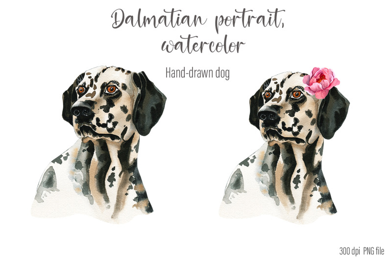 dalmatian-portrait-watercolor-dog-and-flower-clipart