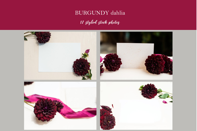 burgundy-dahlia-styled-photos